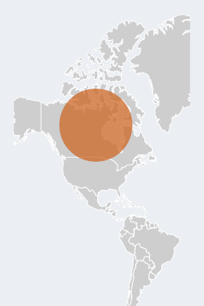 canada - Executive Search, Recruitment and Talent Management - The ExeQfind Group Map of the Americas with a large orange translucent circle outlining the central North America region