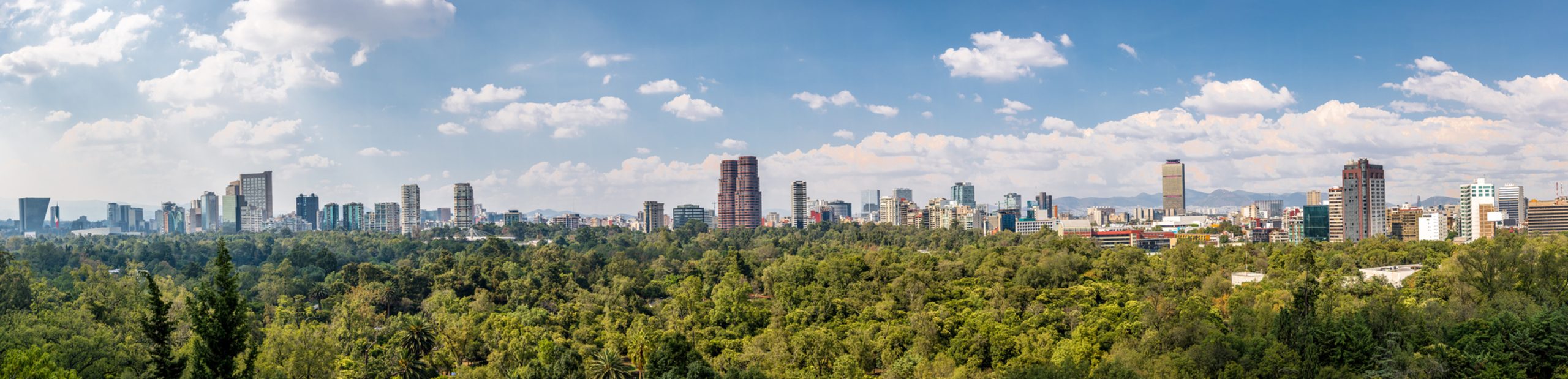 City skyline rising above a dense forest under a blue sky with scattered clouds.